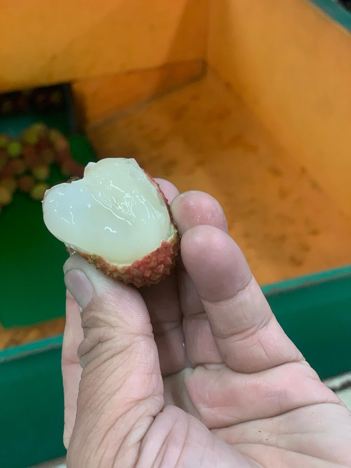 VVIP 寶達友 -台灣玉荷包 1.8kg (1箱)