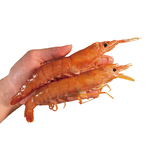 Argentine Langostinos Shrimp Sashimi L2 2kgs
