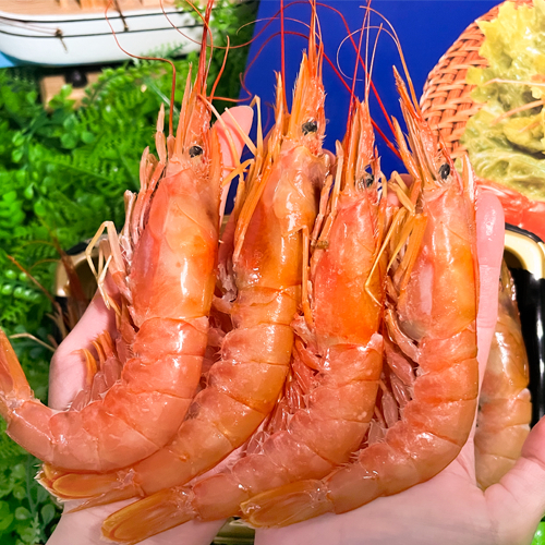 阿根廷紅蝦刺身 L2 40-60隻入 2kgs