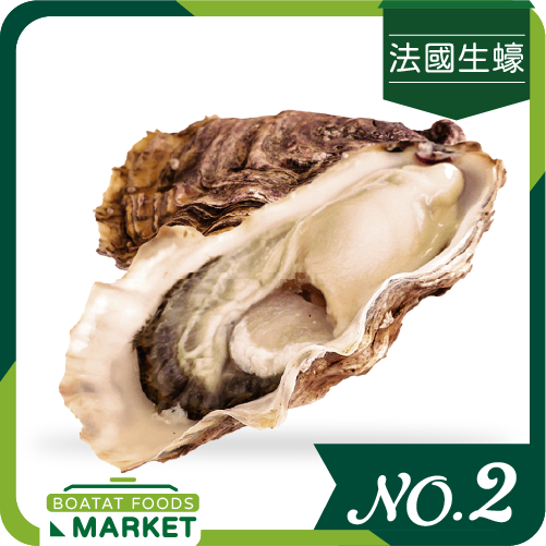 FR Special Elegance No.2