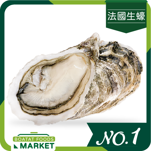 FR Spéciales Elegance No.1 (1pc)