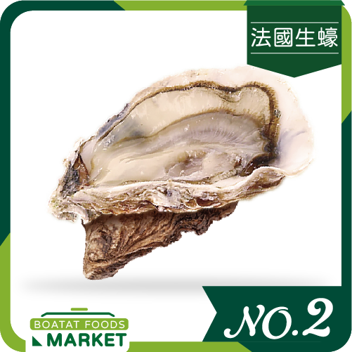 FR Cavalerie8 No.2 (1pc)