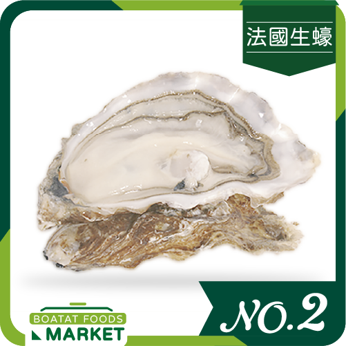 FR Utah Beach Special No.2