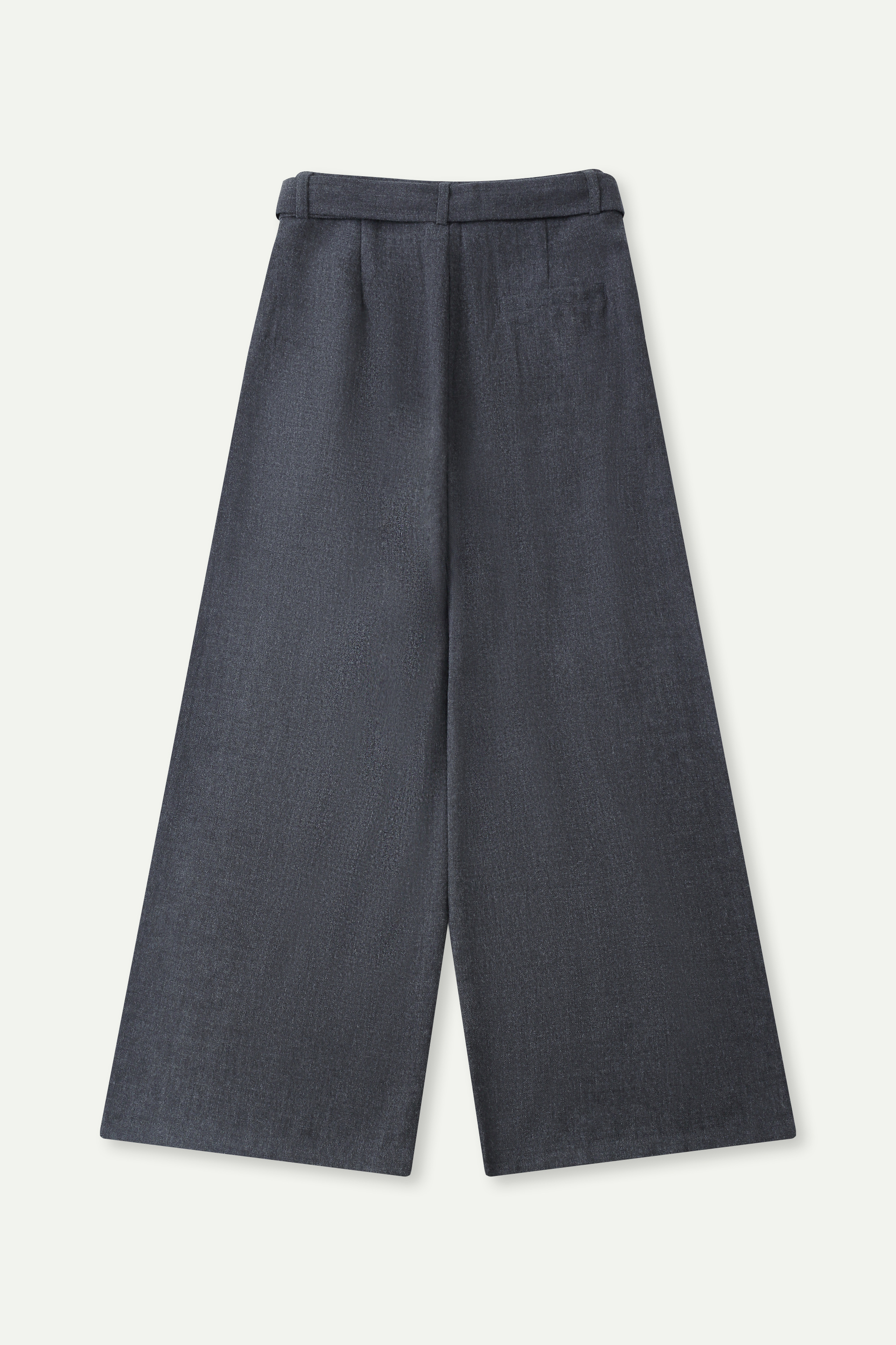 Wide-Leg Belted Pants