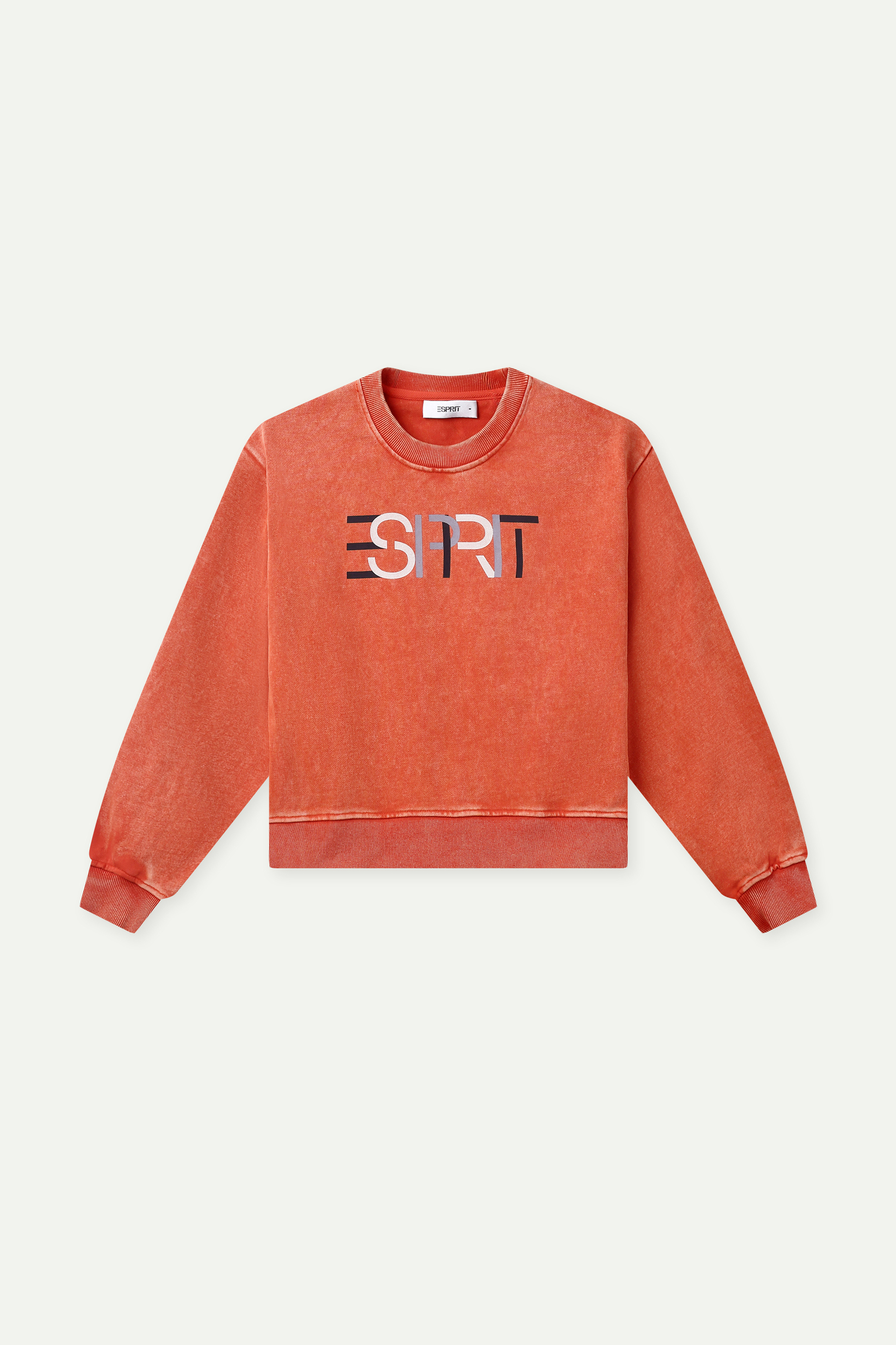 Cropped Esprit Logo Sweater
