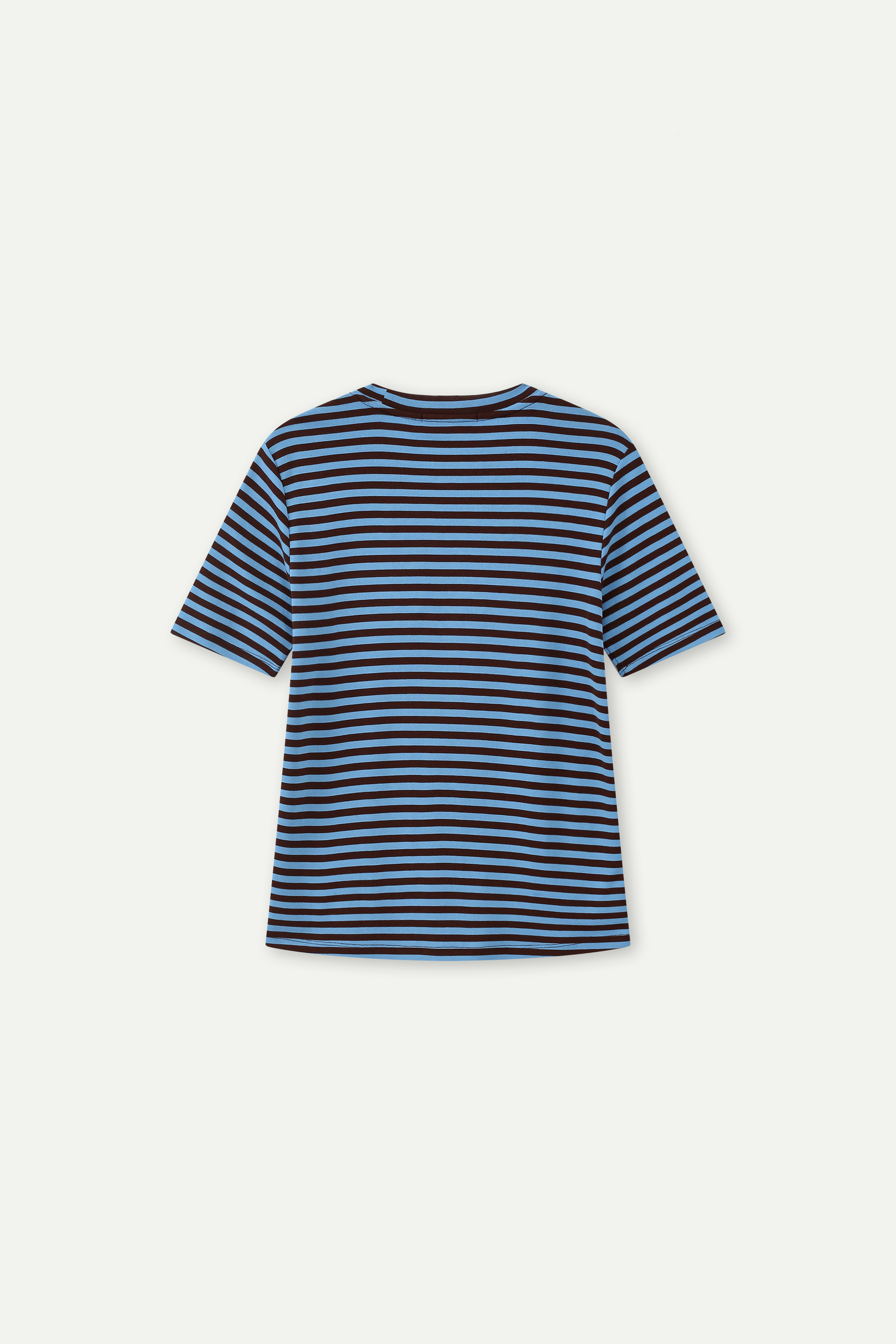 Striped Raglan Sleeve Crew Neck T-Shirt