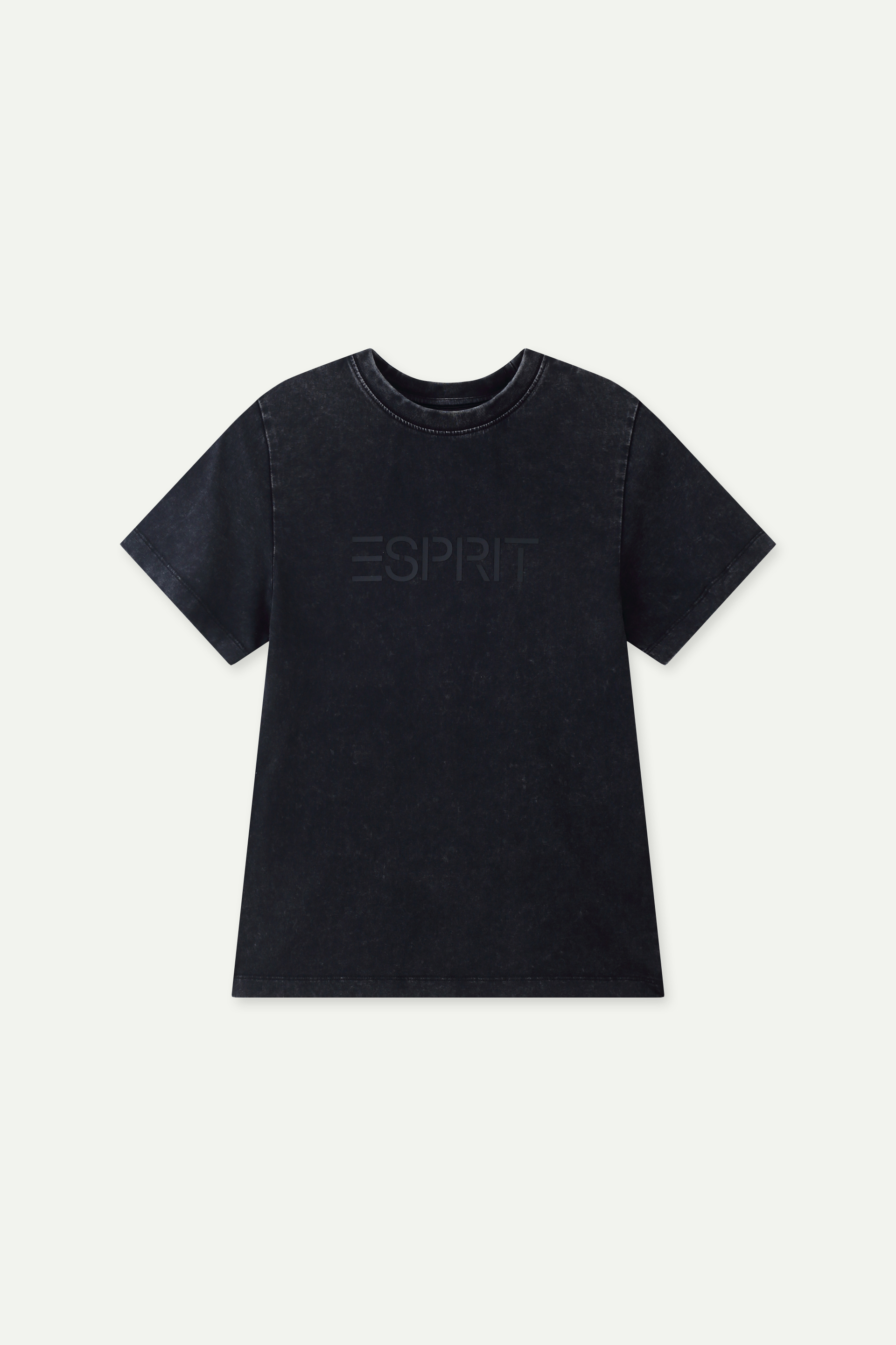 Acid Wash Logo T-Shirt