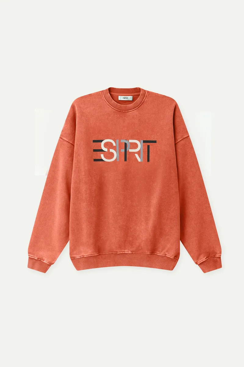 Esprit Logo Sweater