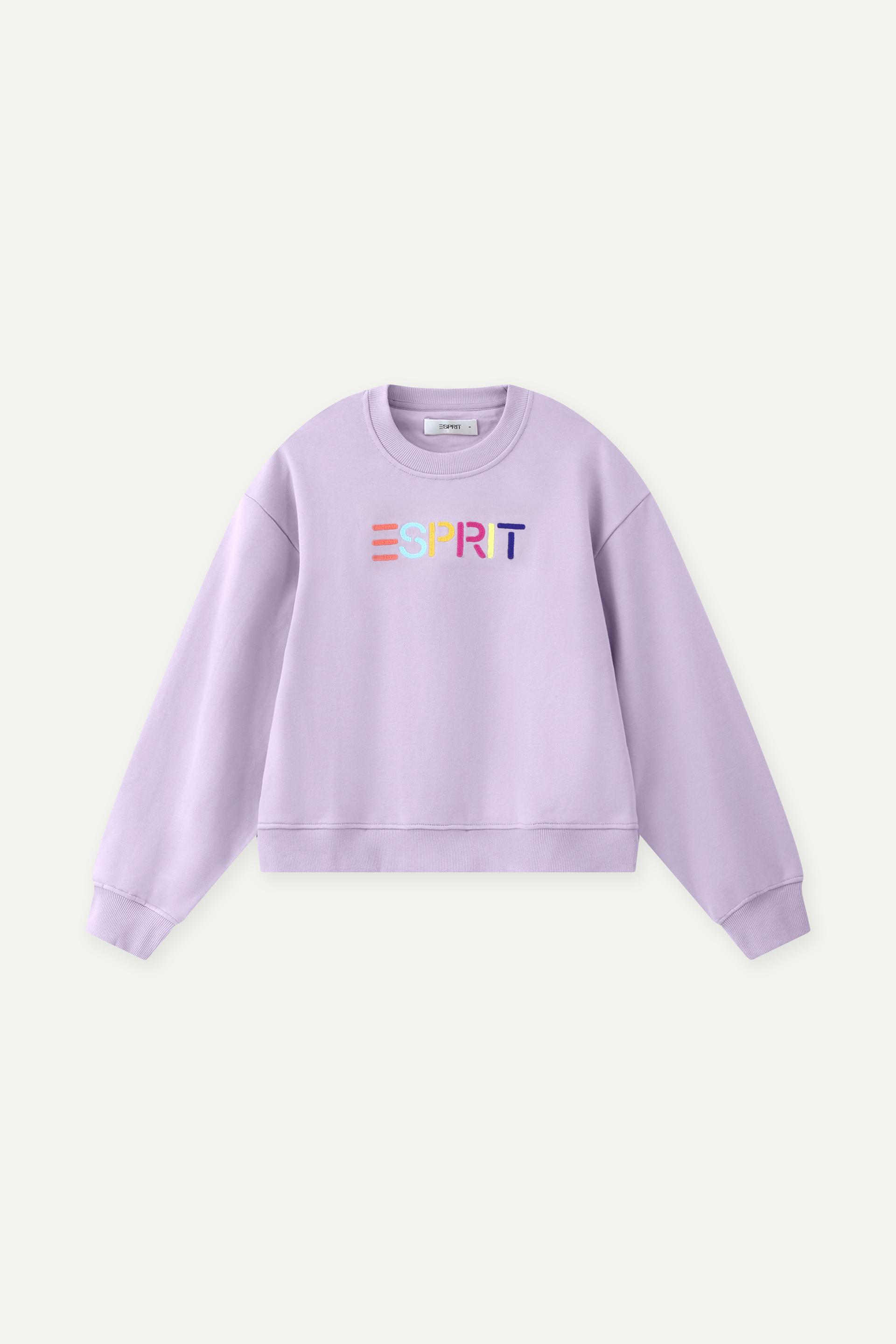 彩色刺繡 Logo 圓領衛衣