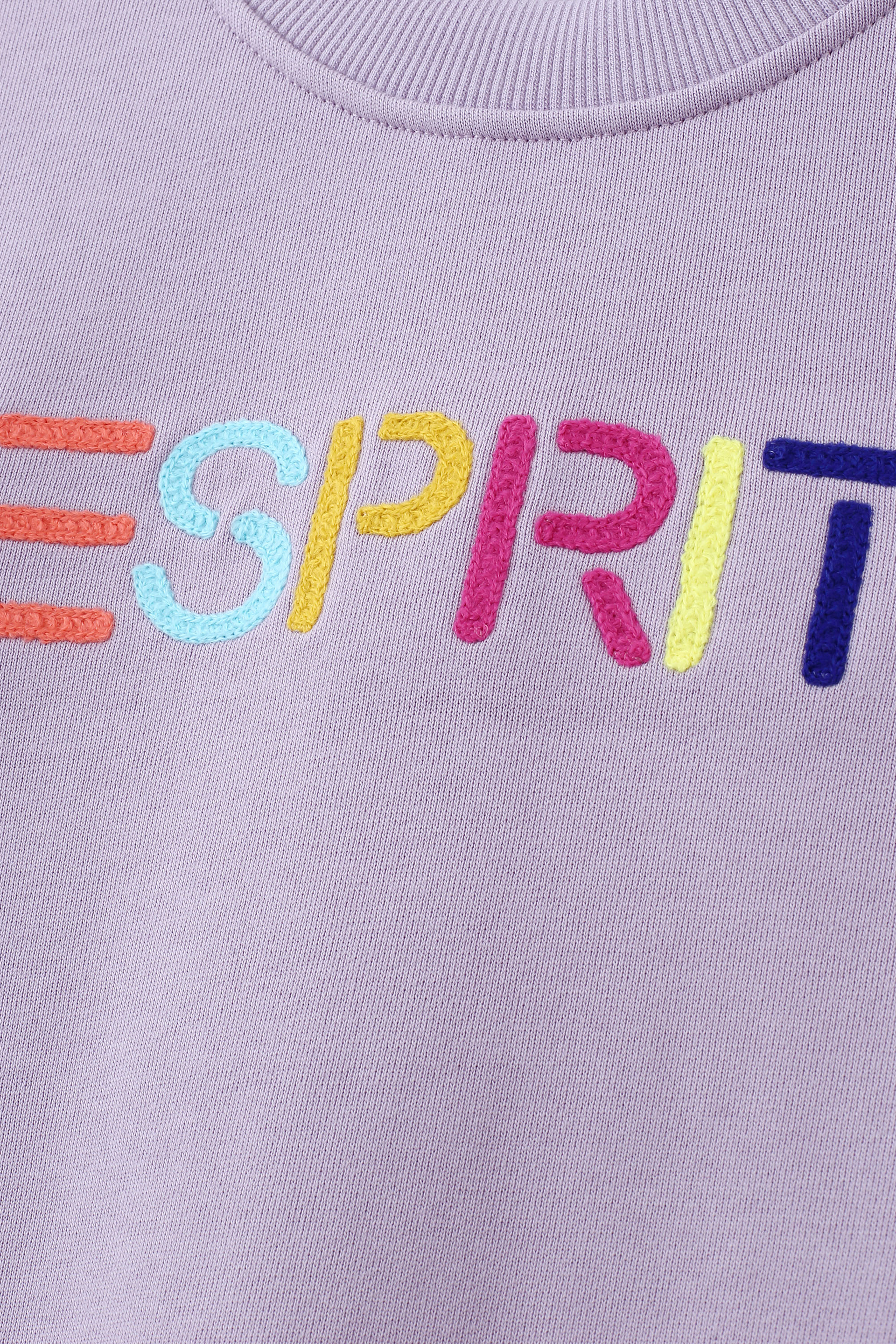 彩色刺繡 Logo 圓領衛衣