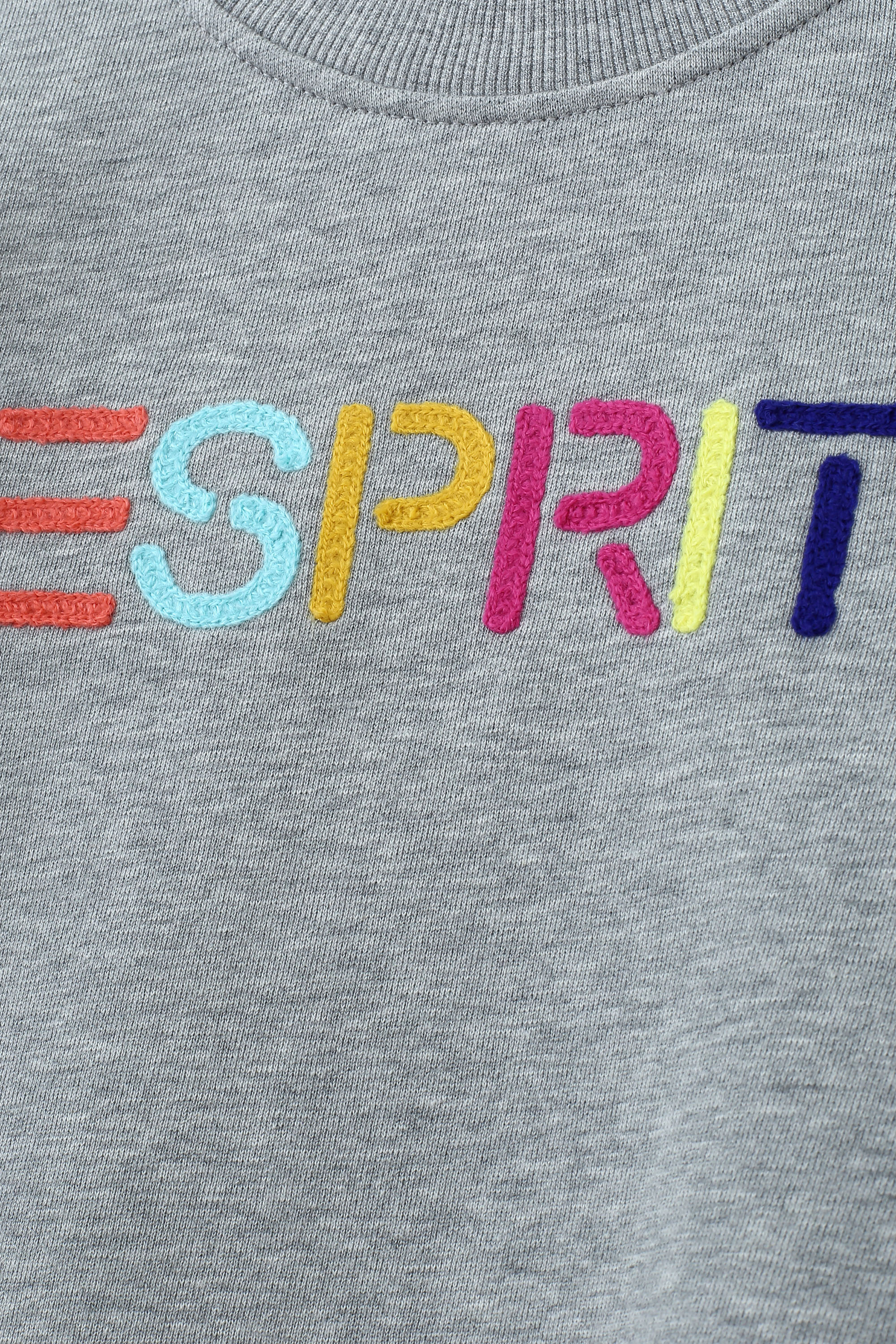 彩色刺繡 Logo 圓領衛衣