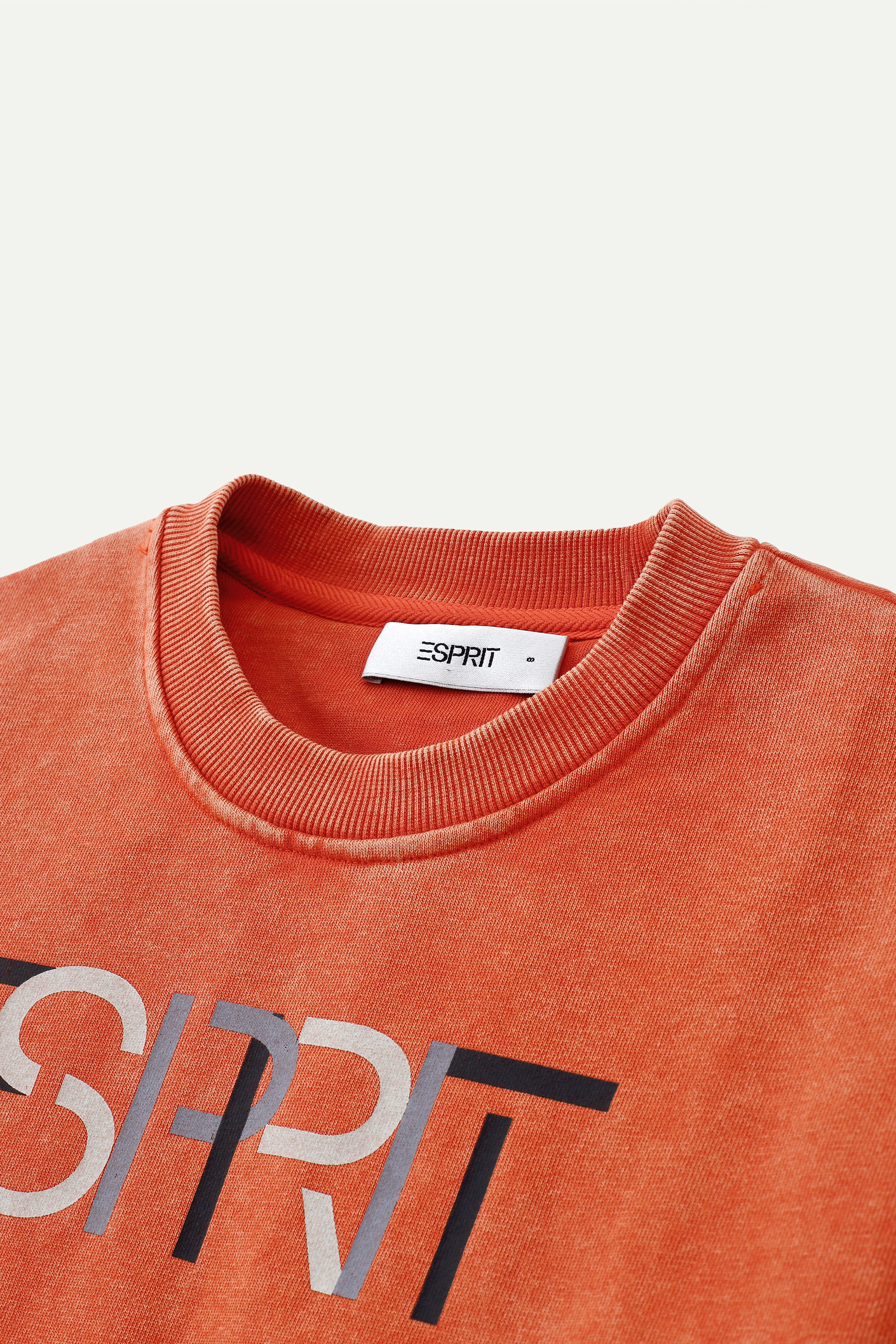 Cropped Esprit Logo Sweater