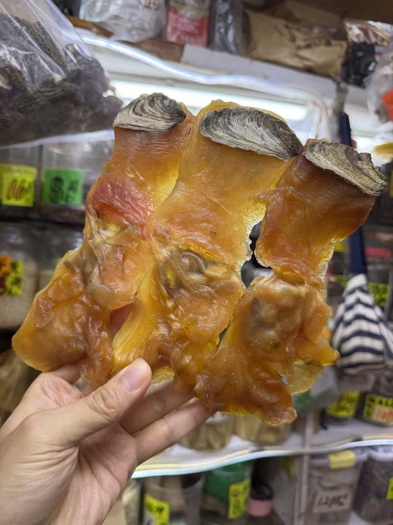 西非特大紅螺頭片
