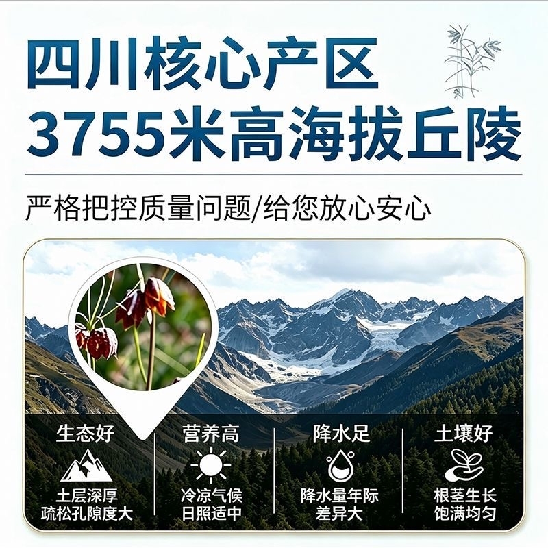 正宗野生無硫川貝