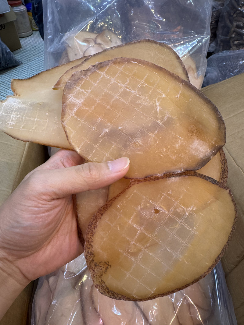 純淡幹大號嚮螺片