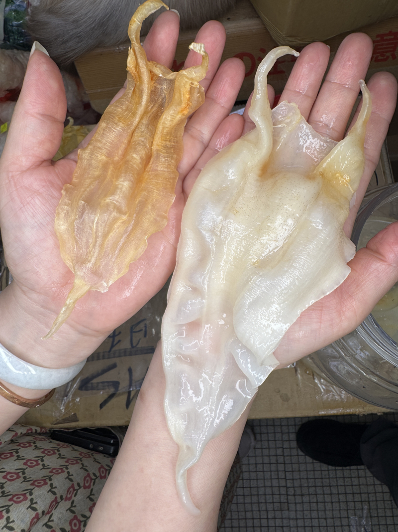 精選清水扎膠公花膠 窄膠公