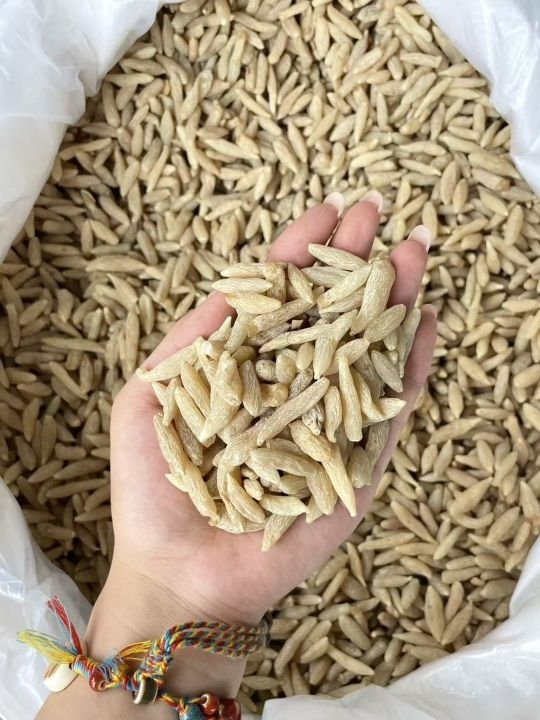 無硫四川特大麥冬
