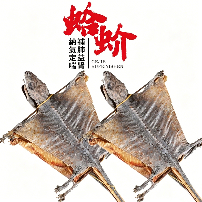 泰國蛤蚧一對