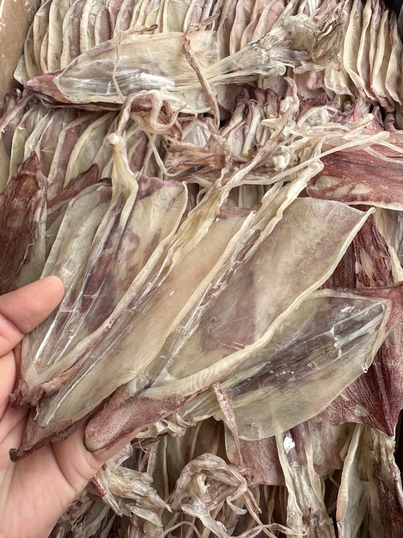 特級魷魚釣片 海釣魷魚 約22頭