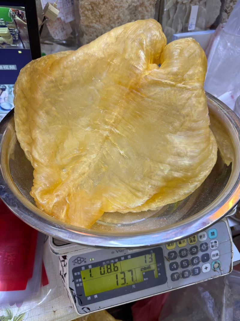 特大鴨巴肚（黃花膠片）收藏級