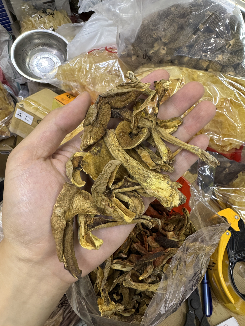 乾牛肝菌 牛肝菇