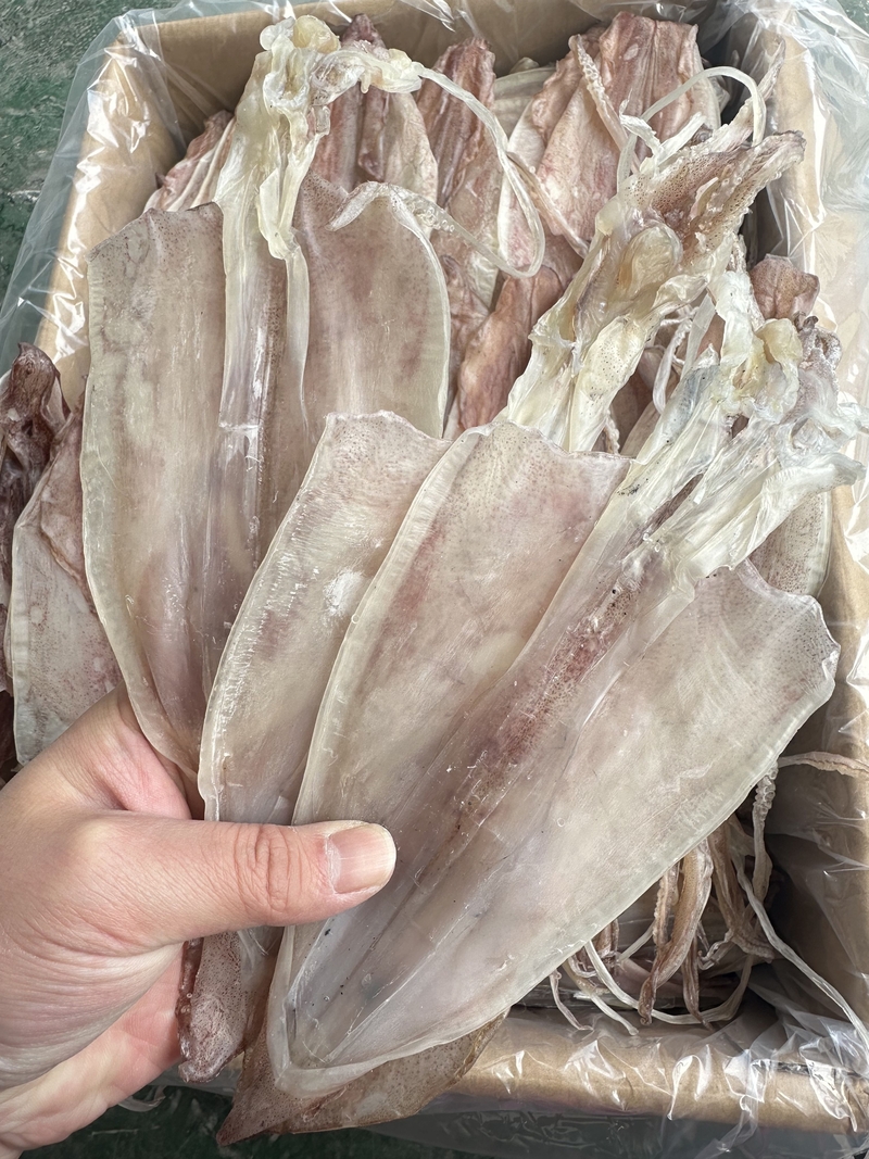 特級魷魚釣片 海釣魷魚  約15頭