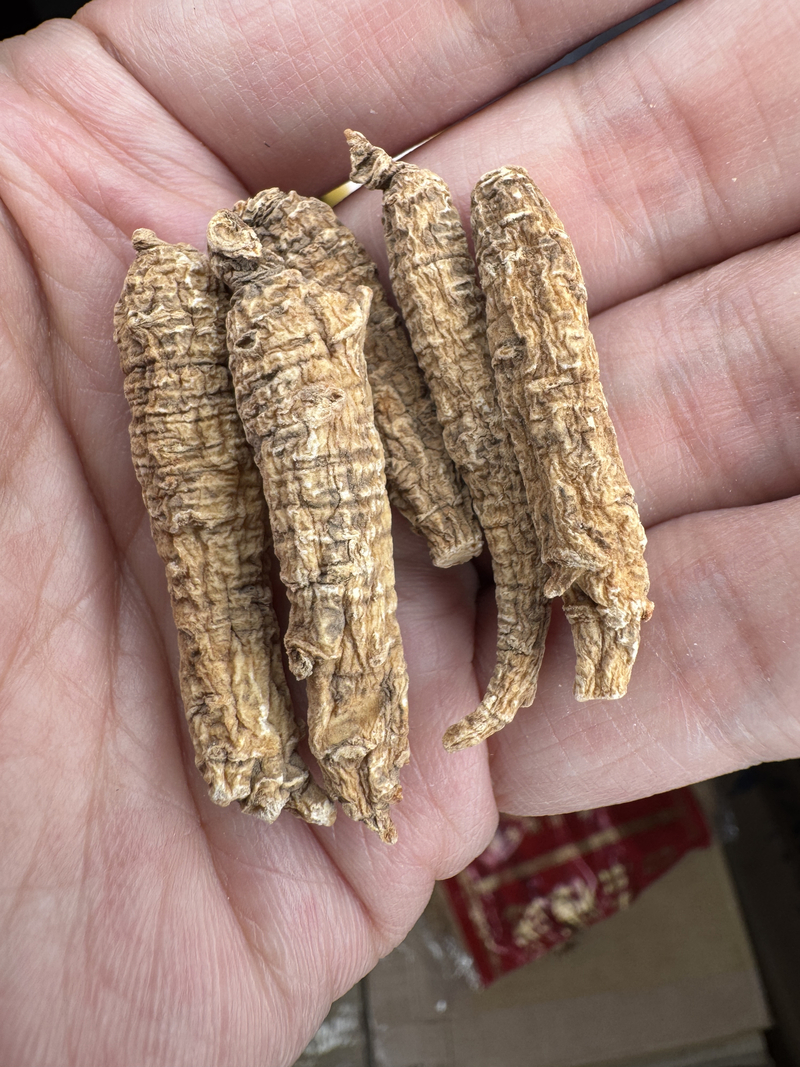 美種花旗參六兩裝 西洋參