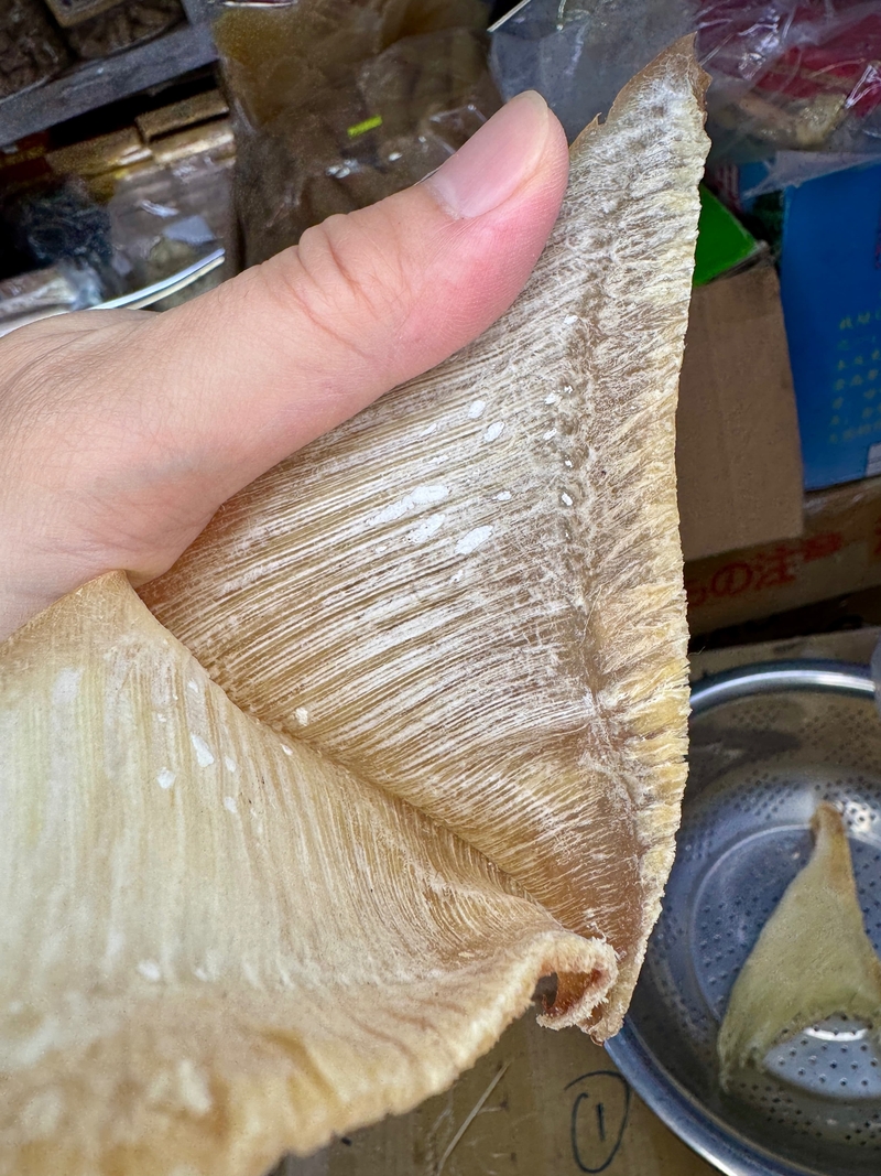 粗針隻翅23-25頭