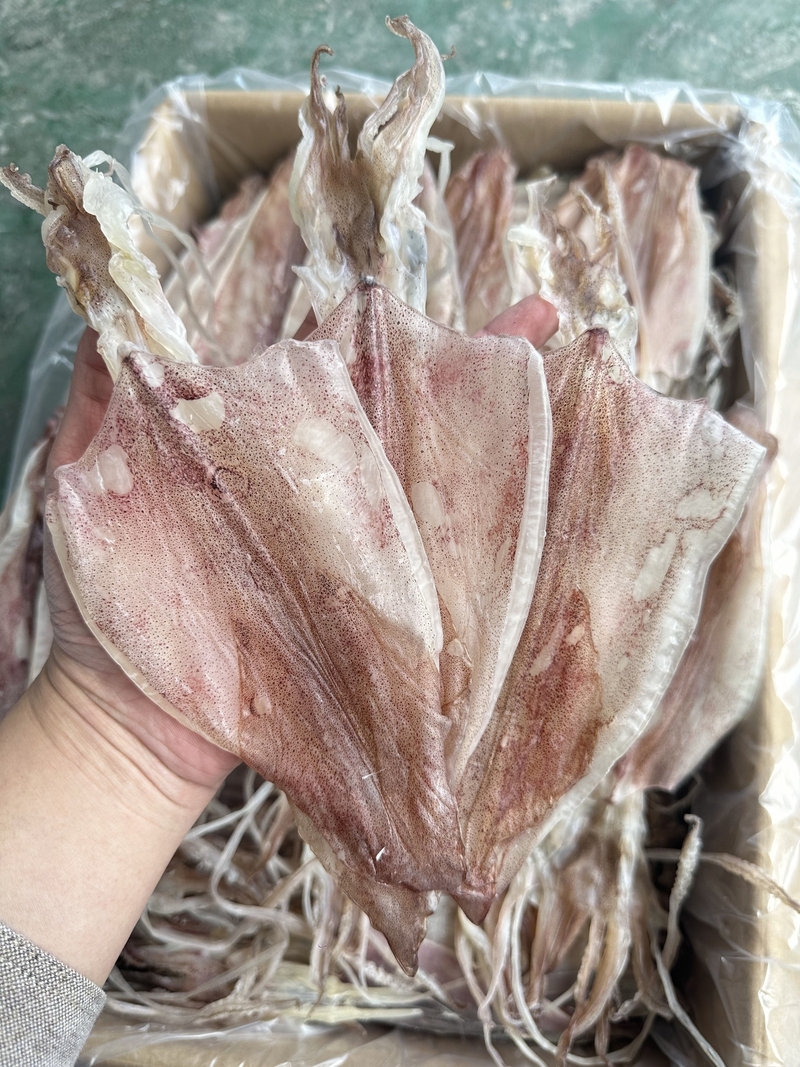 特級魷魚釣片 海釣魷魚  約15頭