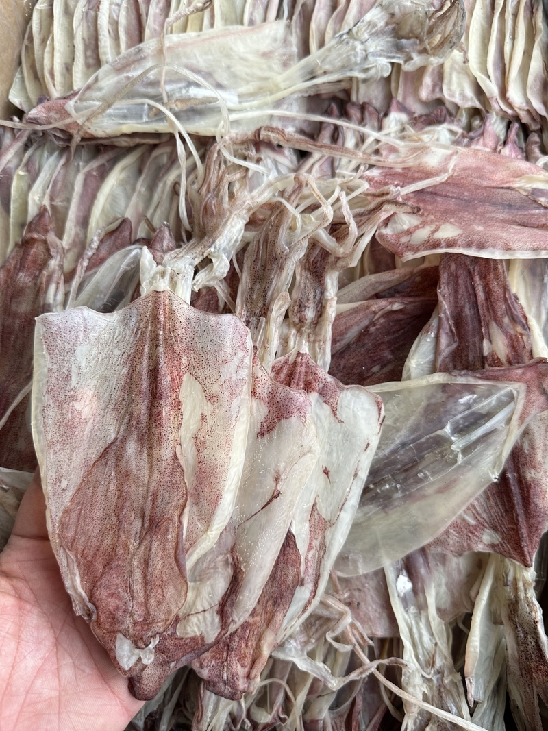特級魷魚釣片 海釣魷魚 約22頭