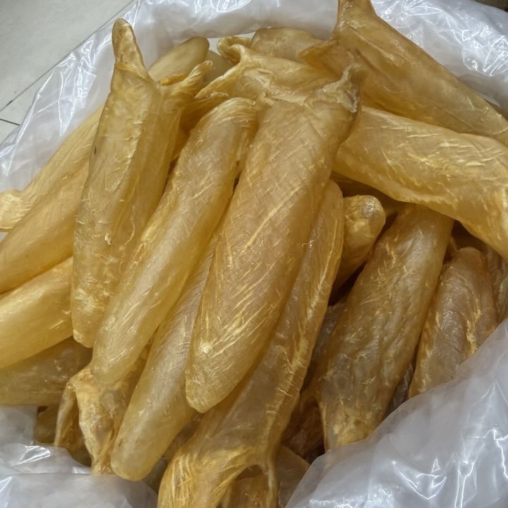 黃花膠桶