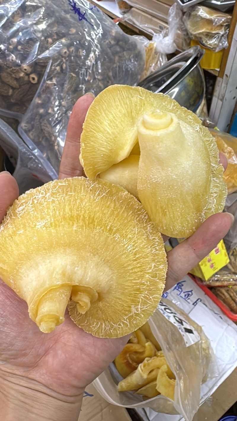 鮑翅
