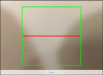 啓用[開啓分屏顯示本地伺服器]