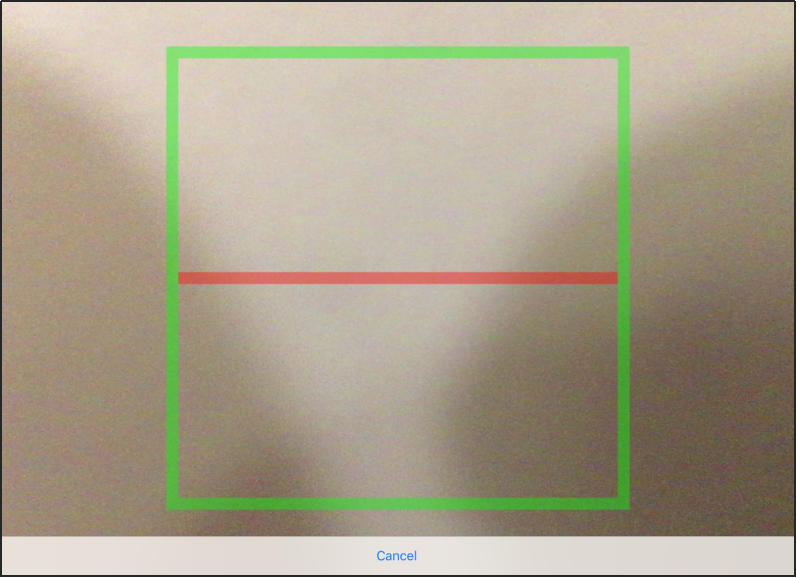 Enable [Connect to Split Screen Local Server]