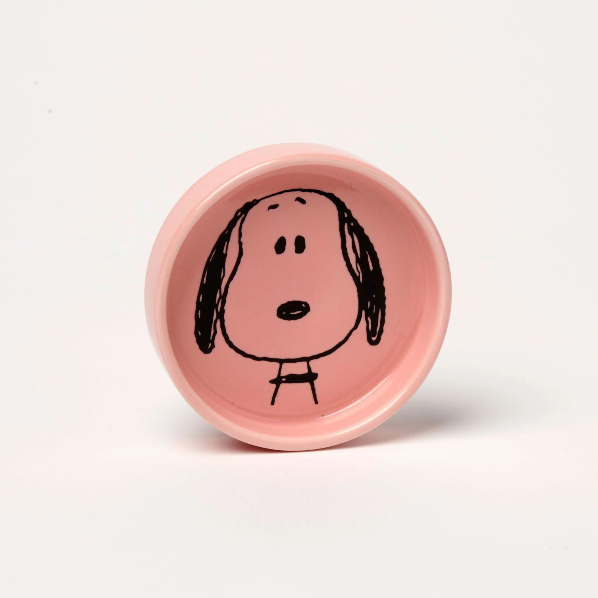 Peanuts Pin Dish - Visage