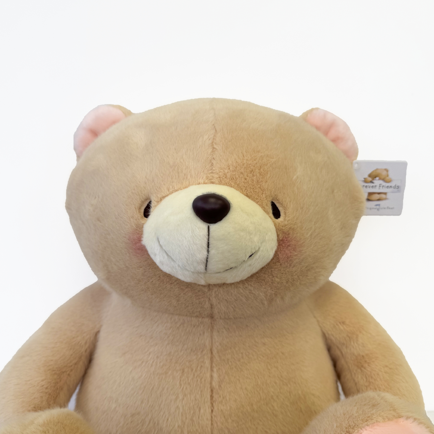 Forever Friends 16 inch Bear
